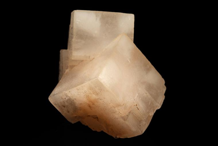 HALITE