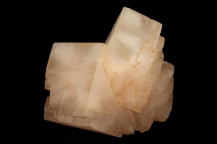 HALITE