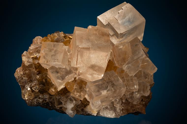 HALITE