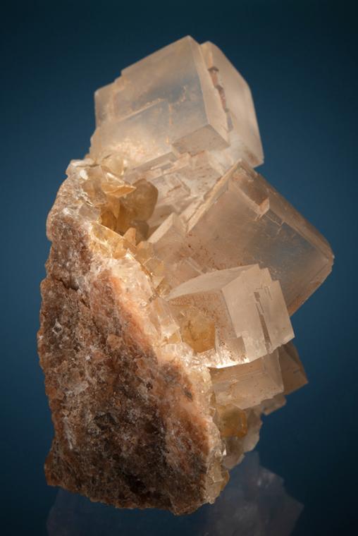 HALITE