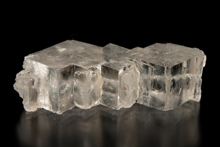 HALITE