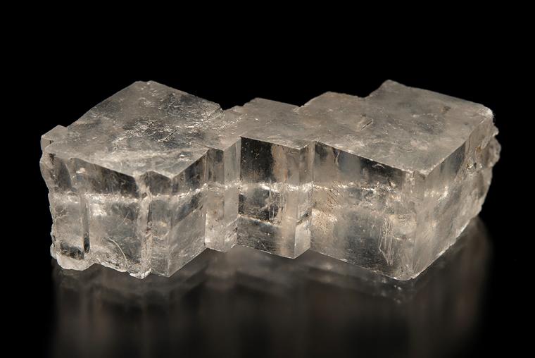 HALITE