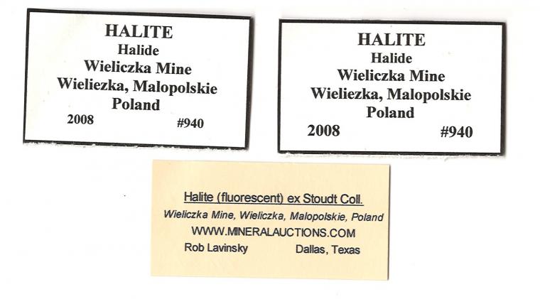 HALITE