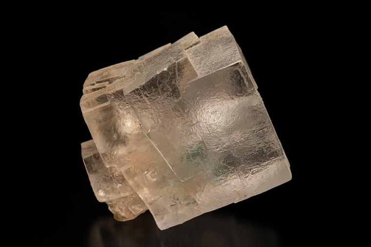 HALITE