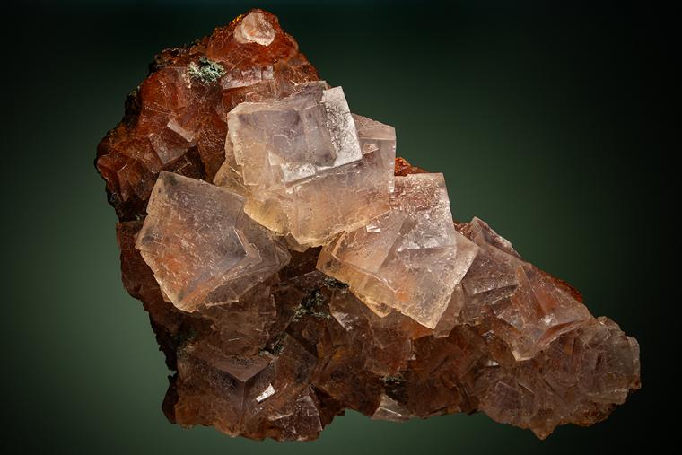 HALITE