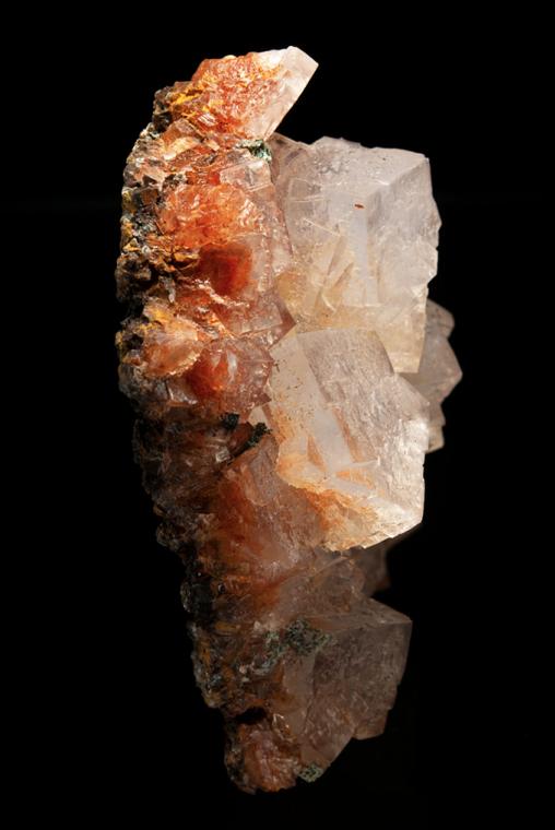 HALITE