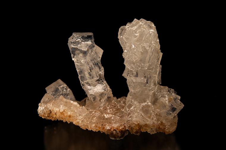 HALITE