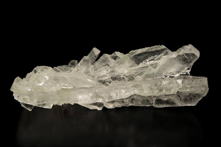 HALITE