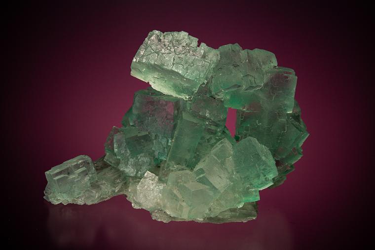 HALITE