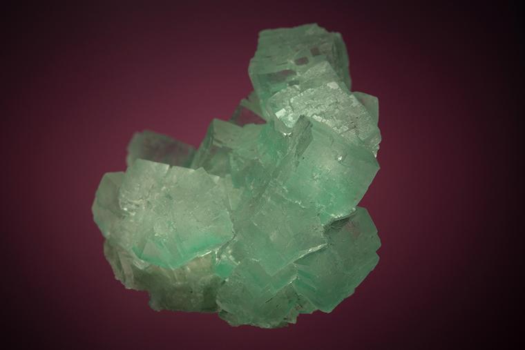 HALITE