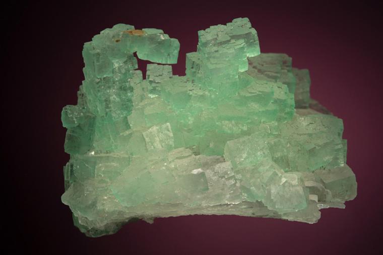 HALITE