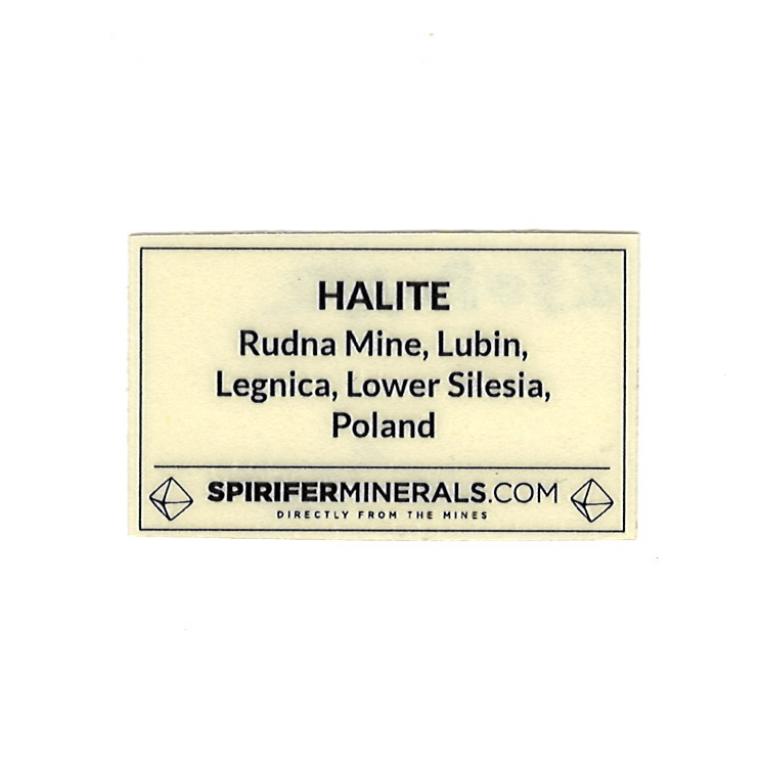 HALITE